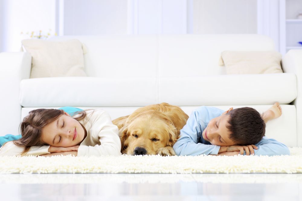 couch cleaning perth
