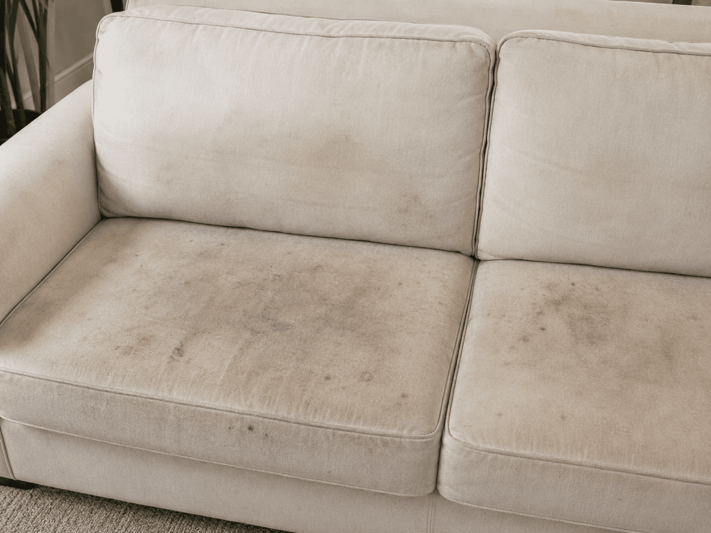 Before upholstery cleaning showing stained couch seats in Perth